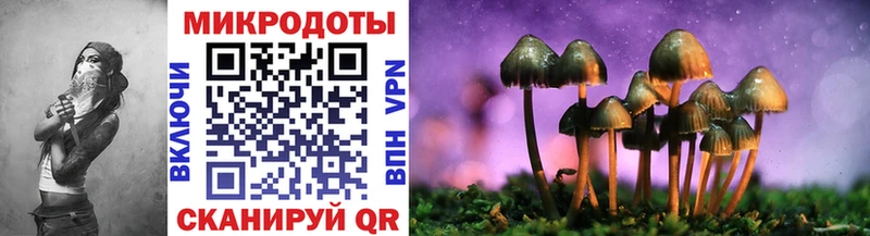 Псилоцибиновые грибы Psilocybe  Сыктывкар 