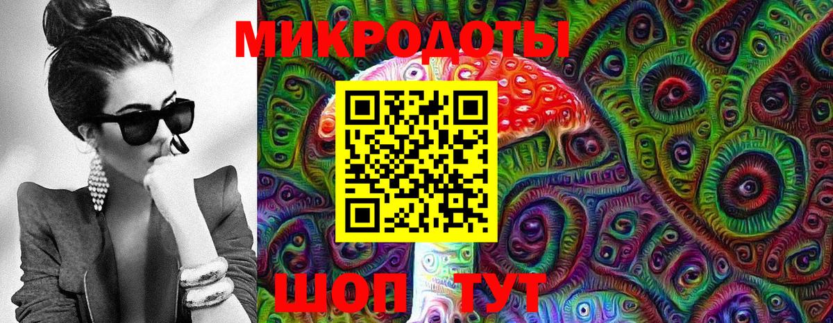 Псилоцибиновые грибы Psilocybe Сыктывкар
