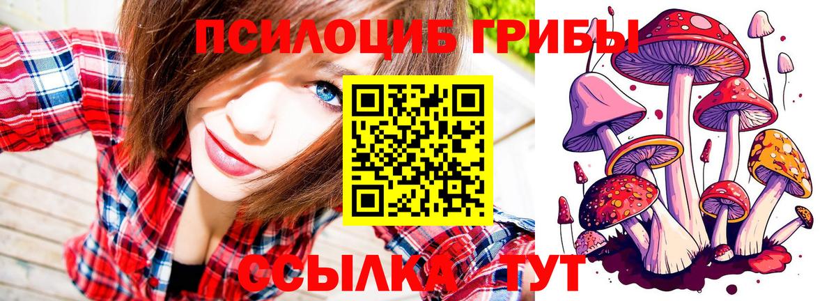 Галлюциногенные грибы MAGIC MUSHROOMS  Галлюциногенные грибы мицелий  Сыктывкар 