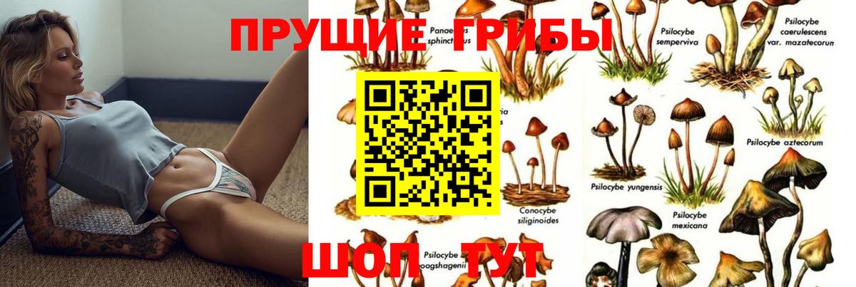 Псилоцибиновые грибы Psilocybine cubensis  Псилоцибиновые грибы Magic Shrooms  Вход с VPN  Сыктывкар 